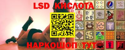 эйфоретик Кингисепп