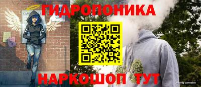 гидропоника Кинель